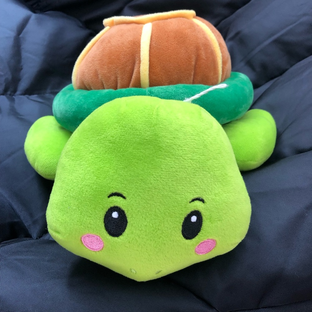 Turtle stuff animal